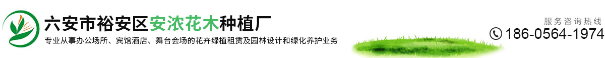 六安市裕安区安浓花木种植厂